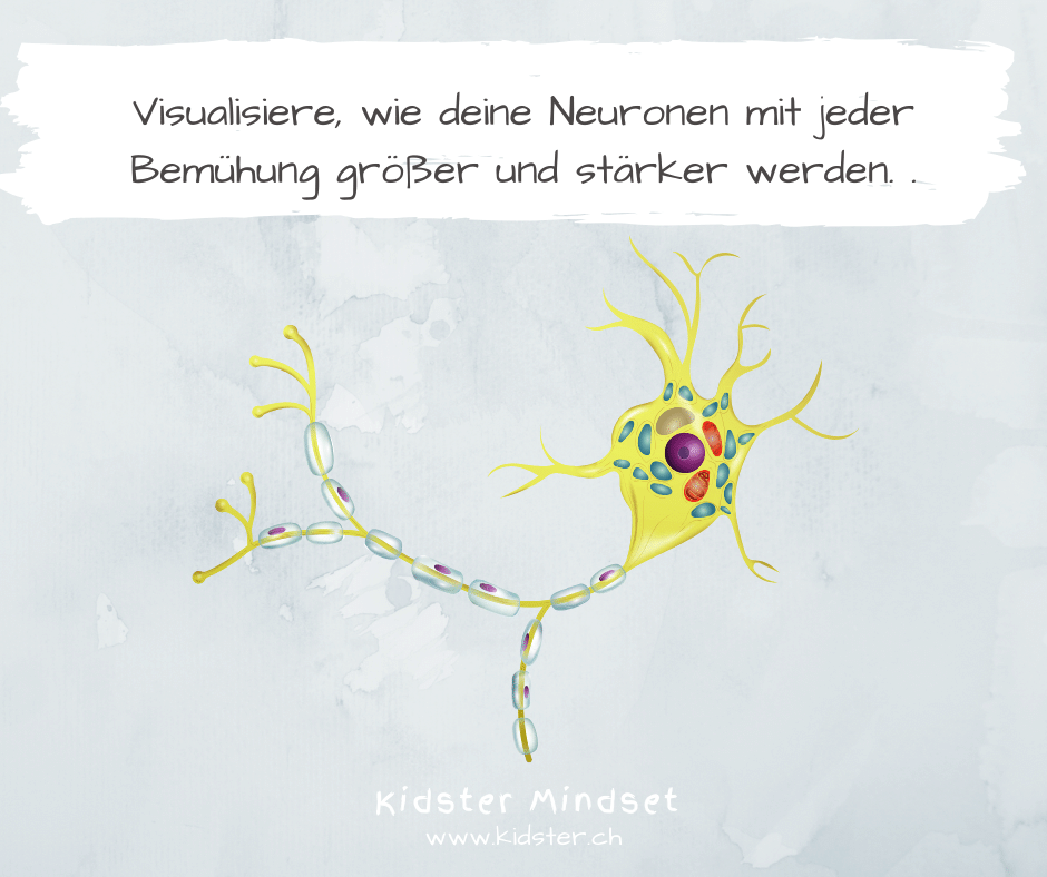 Neuronen 